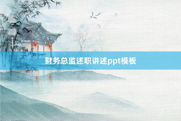 财务总监述职讲述ppt模板