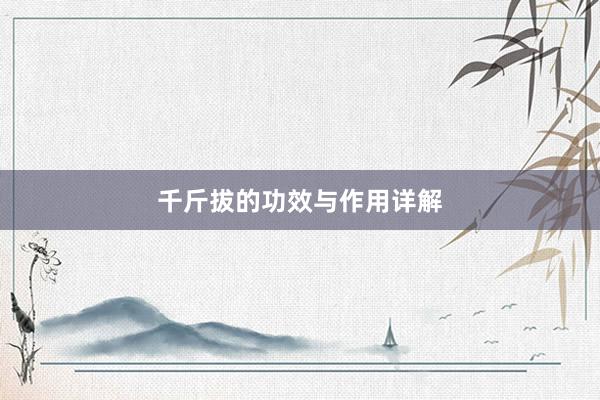 千斤拔的功效与作用详解