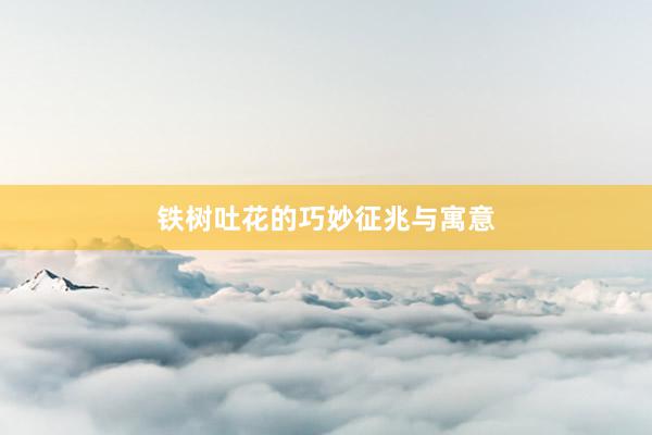 铁树吐花的巧妙征兆与寓意